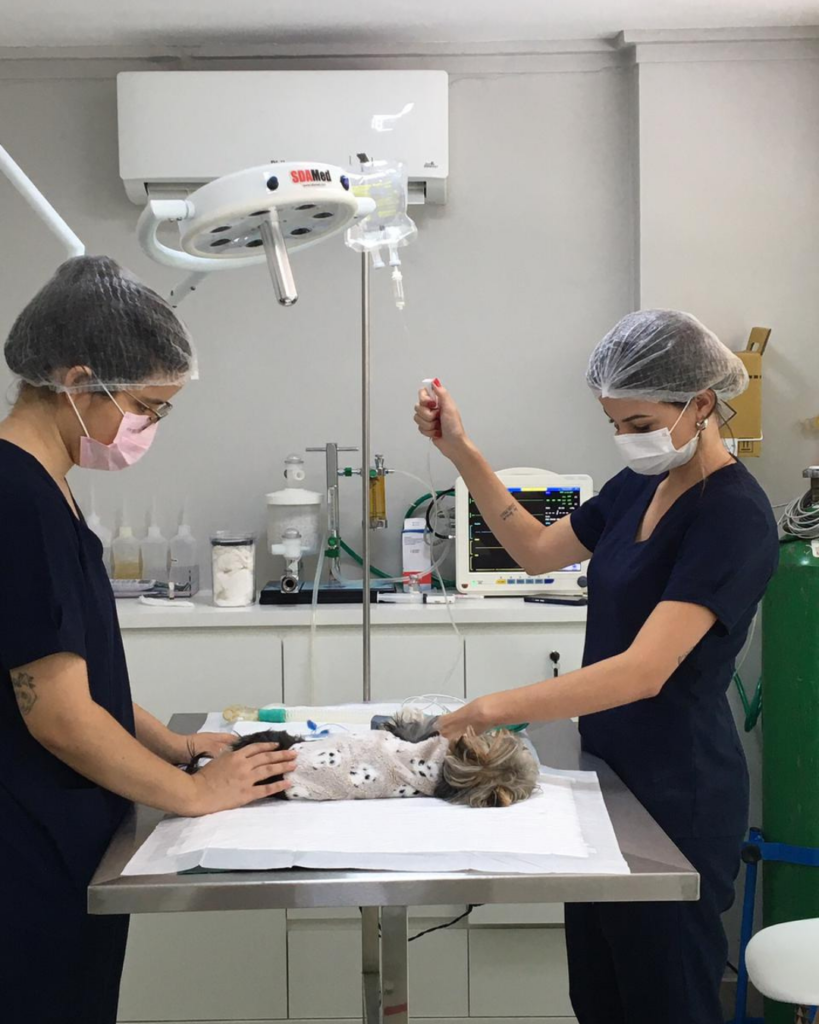 nossa equipe atenvet - castração (5)