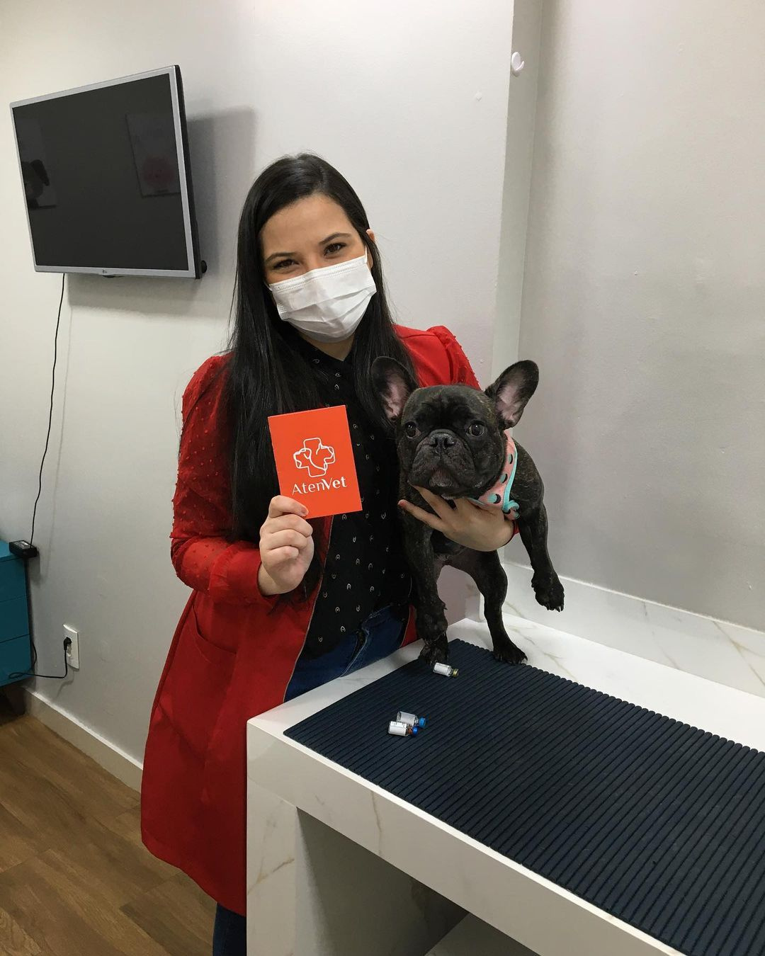 nossa equipe atenvet - castração